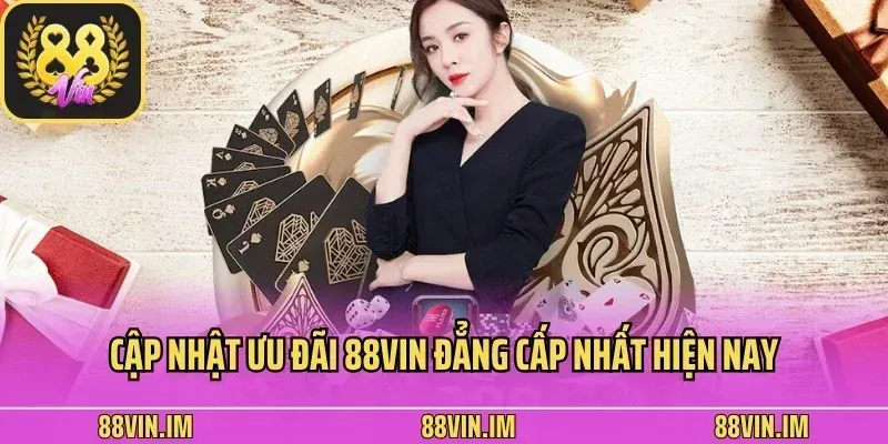 Các lĩnh vực giải trí cốt lõi và trải nghiệm độc đáo